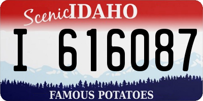ID license plate I616087