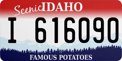 ID license plate I616090