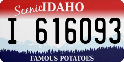 ID license plate I616093