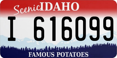 ID license plate I616099