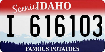 ID license plate I616103