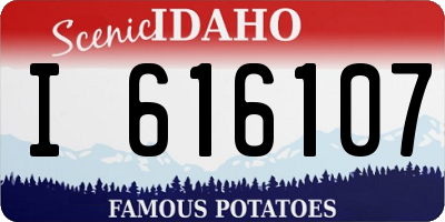 ID license plate I616107