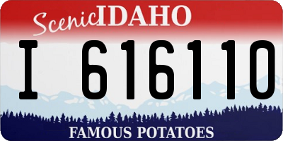 ID license plate I616110