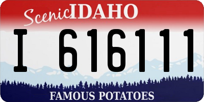 ID license plate I616111