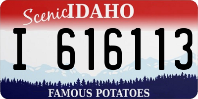 ID license plate I616113