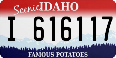 ID license plate I616117
