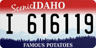 ID license plate I616119