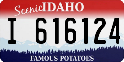 ID license plate I616124