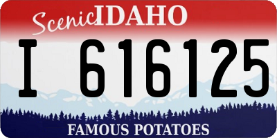 ID license plate I616125