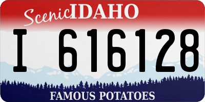ID license plate I616128