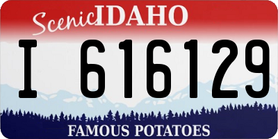 ID license plate I616129