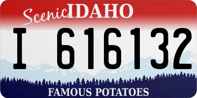 ID license plate I616132