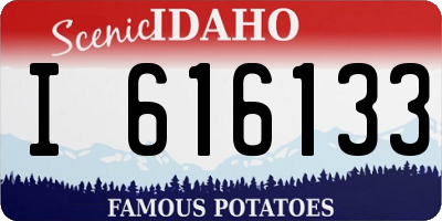 ID license plate I616133