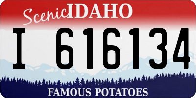 ID license plate I616134