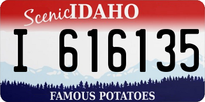 ID license plate I616135