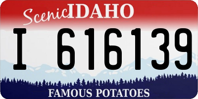 ID license plate I616139
