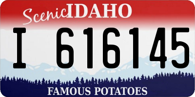 ID license plate I616145