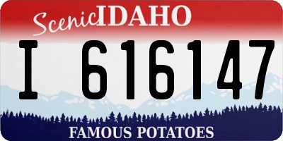 ID license plate I616147