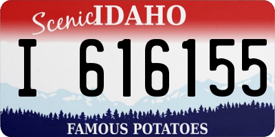 ID license plate I616155