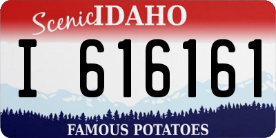 ID license plate I616161