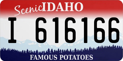 ID license plate I616166