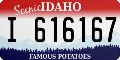 ID license plate I616167
