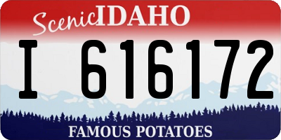 ID license plate I616172