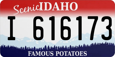 ID license plate I616173