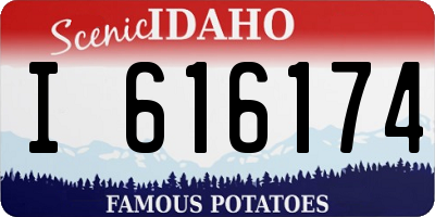 ID license plate I616174