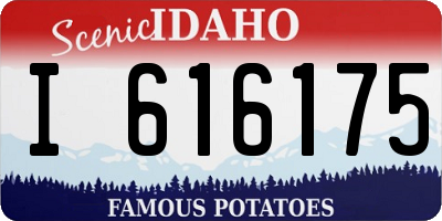 ID license plate I616175