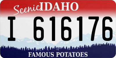 ID license plate I616176