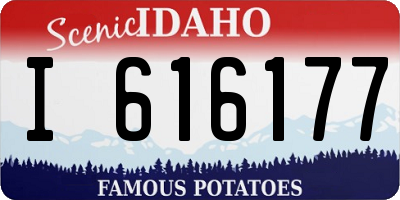 ID license plate I616177