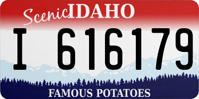 ID license plate I616179