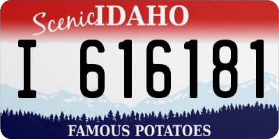 ID license plate I616181