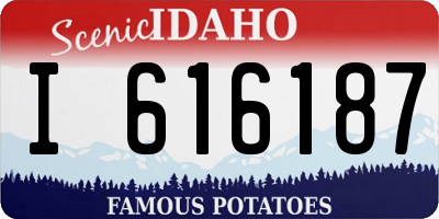 ID license plate I616187