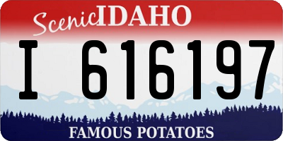ID license plate I616197