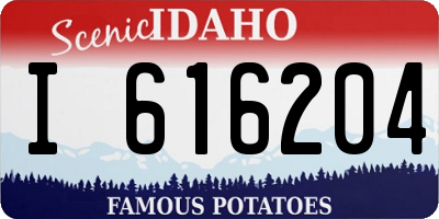 ID license plate I616204