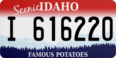 ID license plate I616220