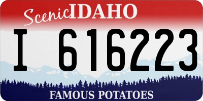 ID license plate I616223