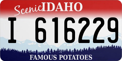 ID license plate I616229