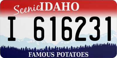ID license plate I616231