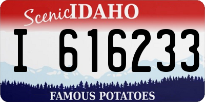 ID license plate I616233