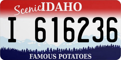 ID license plate I616236