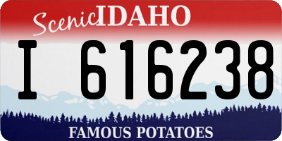 ID license plate I616238