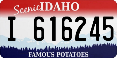 ID license plate I616245