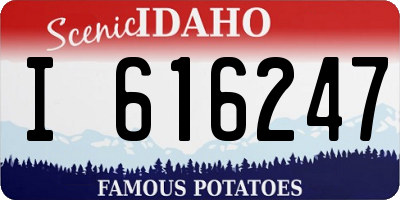 ID license plate I616247