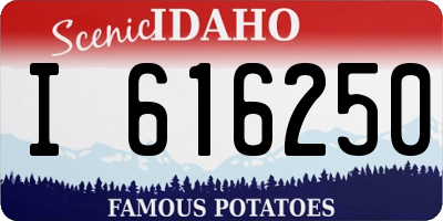 ID license plate I616250