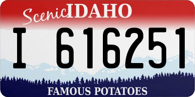 ID license plate I616251