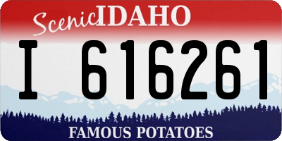 ID license plate I616261