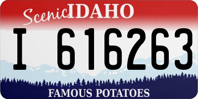 ID license plate I616263